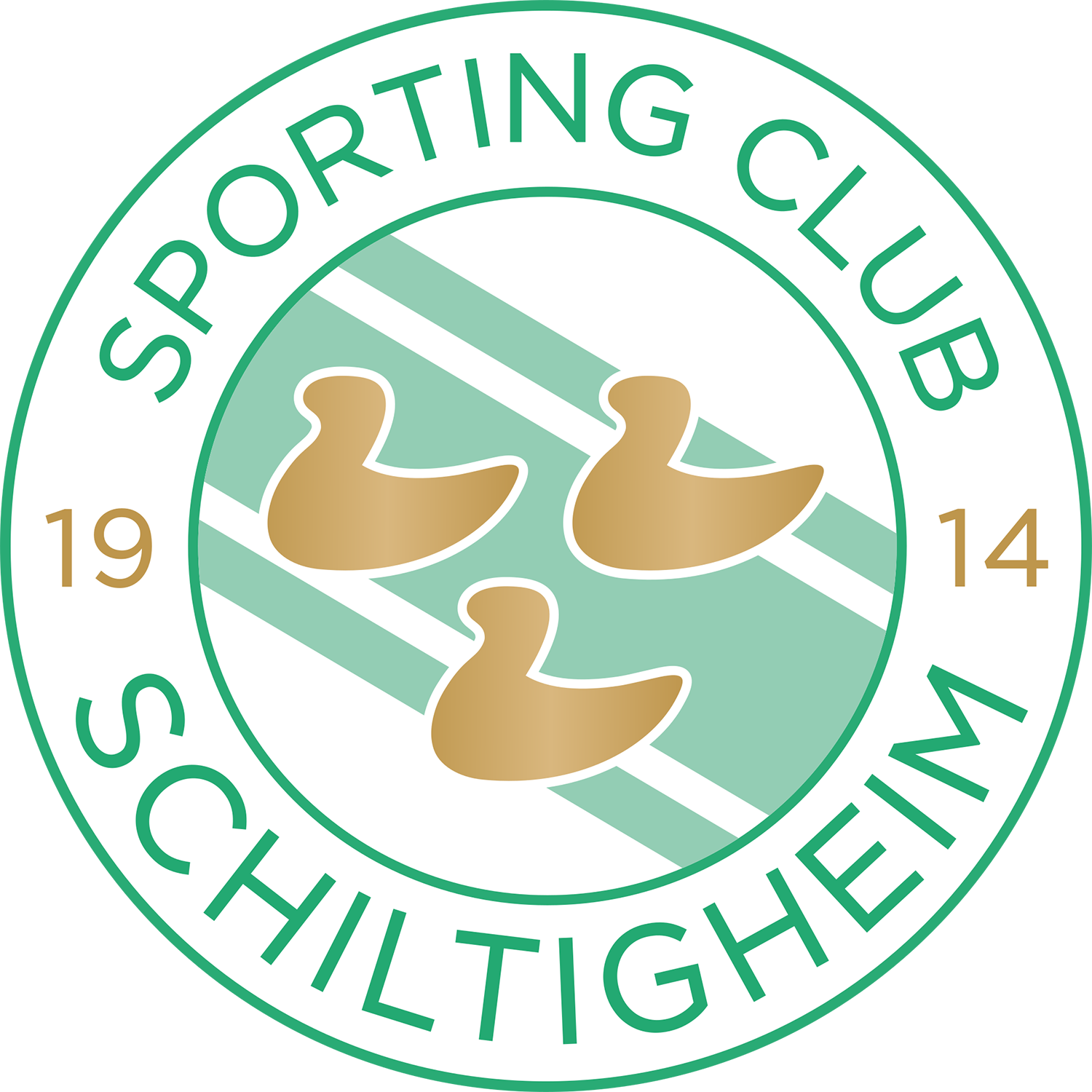 SC Schiltigheim - National 3 • Actufoot
