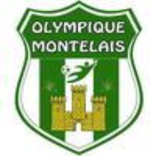 Olympique Montelais - Olympique Montelais • Actufoot
